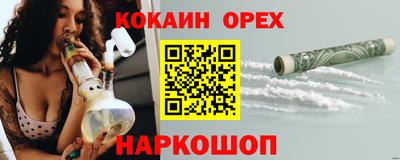 гашик Тара