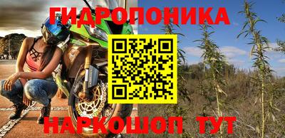 гашик Тара